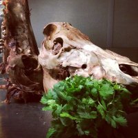 Tuckaway Tavern + Butchery (@tuckawaytandb) 's Twitter Profile Photo Tuckaway Tavern + Butchery (@tuckawaytandb) 's Twitter Profile Photo