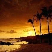 carouoky23's profile picture. 