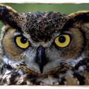 Edwin Allan Landwehr - @ReluctantOwl - Twitter