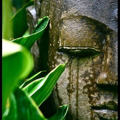 hello my lovely free spirits~radiate positive vibes~dream~dance~be adventurous. Dont be afraid to message me if you are feeling lonely or just want to chat.