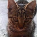 じゅん - @jun_sun - Twitter