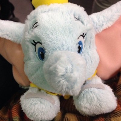 crazy1931's profile picture. ポケモン好きですが、基本はアニメマンガオタクの腐女子なので注意！！とても成人