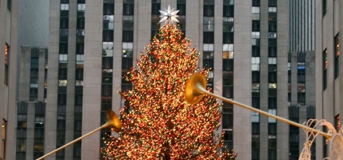 XmasLightDbase's profile picture. Find Christmas Lights Nearby