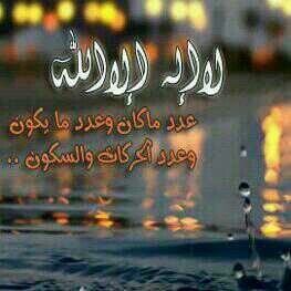 ‏‏‏‏‏‏‏‏قناه المجد عشقى لا ينتهى اللهم احفظ امي .وابي .#برنامج المجرة .مجداويه متعصبه انتمى لمجد قناتي المجد ...