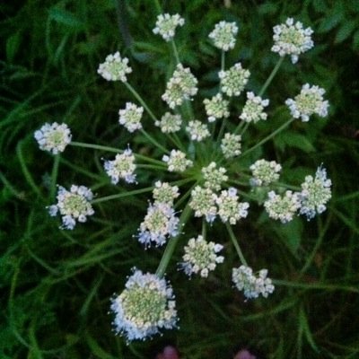 keight_mac's profile picture. Every second is a chance...