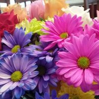 Emily (@tobelacy22) 's Twitter Profile