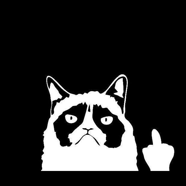 lAmGrumpyCat Profile Picture