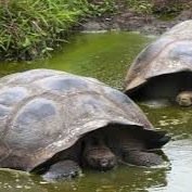 hilsbr's profile picture. 