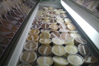 Supernatural, Biodynamic, Organic, Ice Cream handcrafted in the oldest rainforest in the world, Daintree Rainforest, Far North Queensland, Australia.