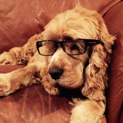 cazz_h's profile picture. Interested in people, society, politics and the way that media reflects them. This is a personal account & views are only my own