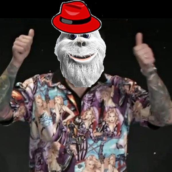 El_Cool_Arrow's profile picture. Right-libertarian atheist.  I support true tolerance over authoritarian political correctness.  Free speech absolutist. MMA/BJJ nerd. Proud #Harambe voter.