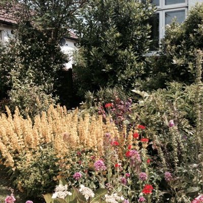 The Sussex Garden Company provides high quality, professional gardening services across Sussex, specialising in soft landscaping, maintenance, lawns and borders