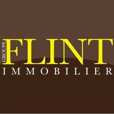 GROUPE FLINT IMMOBILIER