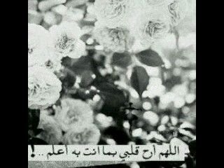 ‏گلن عَ طبعه فصّلنآ  اَحترامه  *'.