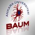 BAUM (@aubaum) Twitter profile photo