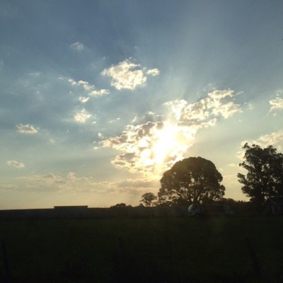 naughtyboybob's profile picture. 