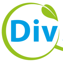 DivSeek Profile