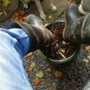 D - @DwightIngalls - Twitter