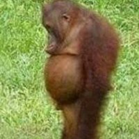 Paul Joshua Buttery (@buttery_paul) 's Twitter Profile Photo