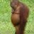 buttery_paul's profile image
