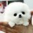 beatriz_leong's profile image