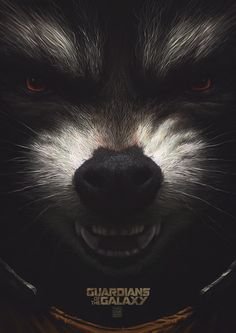 ward_romeo's profile picture. 