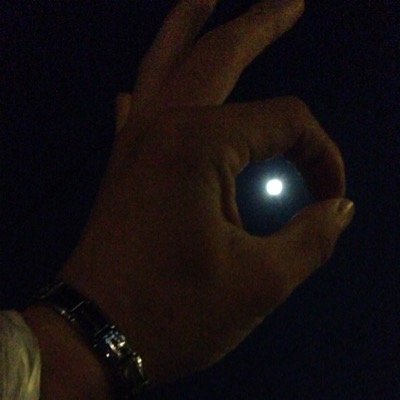 KannkanmnY's profile picture. SHOHEI＜2＞フォローミー