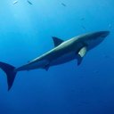 Erica Blake - @ecblake20 - Twitter