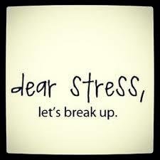 temjestress's profile picture. Ik help ondernemende vrouwen die #stress ervaren, naar meer #rust en #balans in hun leven. o.a. Mindfulness & Coaching in de Natuur & Creative Empowerment