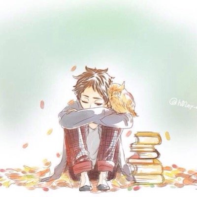 シェア専用垢＊フォロー外して＊さんのプロフィール画像