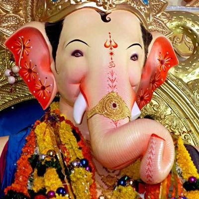 pareshjani31's profile picture. 