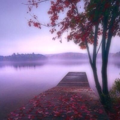 اللي جاد ويبي ينفذ شروطي يجي واتس ومعه بطاقه سوا ب 100 نحدد السهره ولا اكلمه اسكايبي هذا رقمي 0504760139