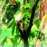 Buone ((B....nd..)) (@bounandao) 's Twitter Profile