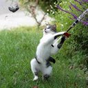 maria lakis - @lakis_maria - Twitter