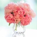 Ciara McMullan - @ciaramcmullan1 - Twitter