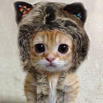 yonarsmn's profile picture. we live by the sun, we feel by the moon. don't lose you inner dinosaur | official twitter account of Yonarsmn | Arsenal | Backpacker and Hiking