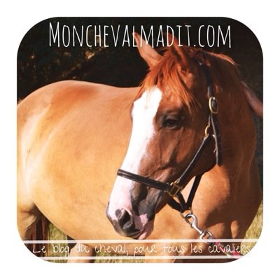 Le blog du cheval pour tous les cavaliers. Ici on tweet #cheval #blog #tendances #testproduit #cavaliers Le reste du temps? Toulouse Business School l Marketing