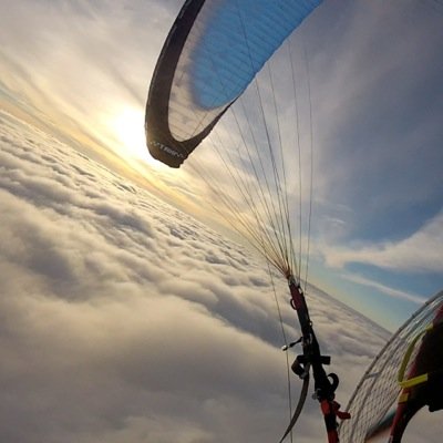 YGorrity's profile picture. 