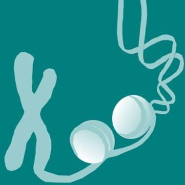 MDPI #OpenAccess #epigenetics and #epigenomics journal. Received first Impact Factor 2.5. PubMed, ESCI, Scopus Indexed. CiteScore 3.1.