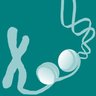 Epigenomes's profile picture. An #OpenAccess journal (ISSN 2075-4655, IF 3.5, CiteScore 4.4) of #epigenetics and #epigenomics, published online by @MDPIOpenAccess