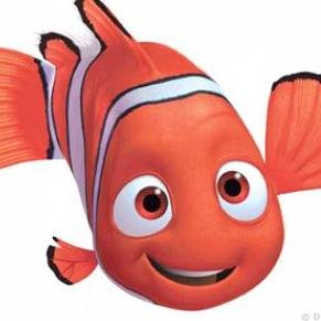 swiftwala's profile picture. Swift/iOS Consultant. Blogging about #SwiftLang and #iOSDev on http://t.co/aNgYQhr56w Personal handle - @palewar