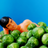 bratfemme's profile image