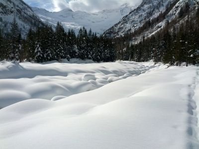 eurolinux's profile picture. 