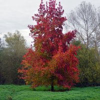 Ville de Poitiers (@villedepoitiers) 's Twitter Profile