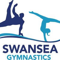 SwanseaGC (@swangymcentre) Twitter profile photo