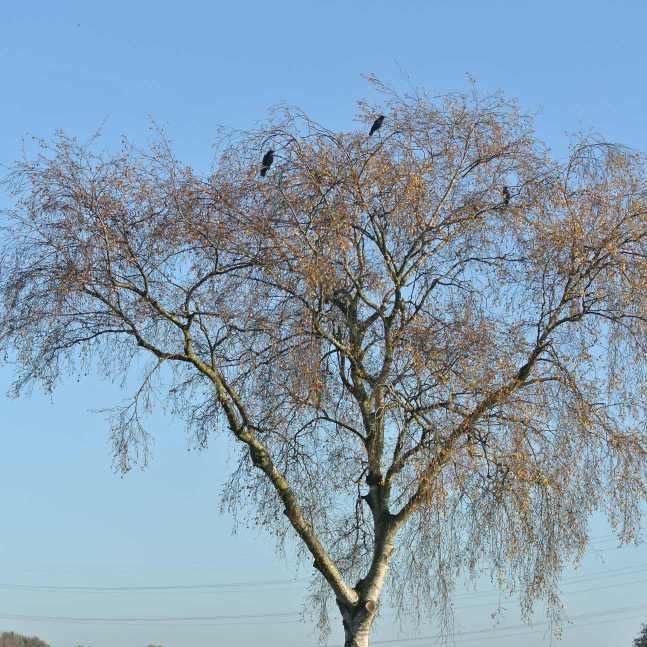Landschapspark Moerenburg ligt direct aan de oostkant van Tilburg. Een buitengebied om te fietsen en wandelen tussen weilanden, bomen, water en boerderijen.