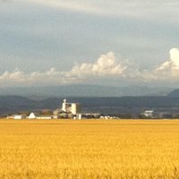 Gorrill Ranch (@gorrillranch) 's Twitter Profile