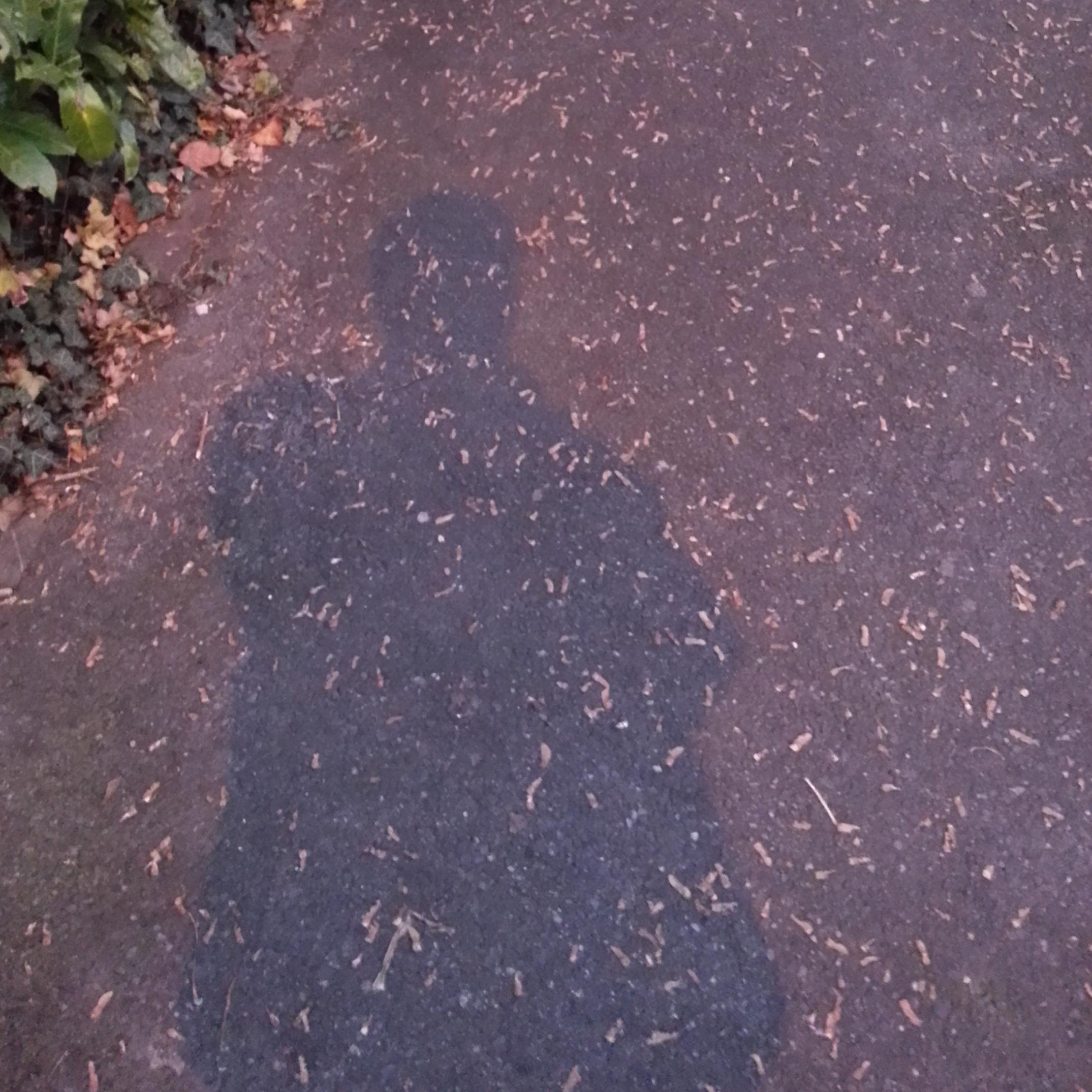 DemircanSukru's profile picture. 