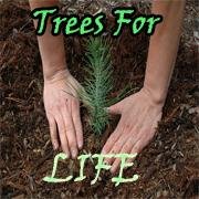 TTreesforLife's profile picture. 