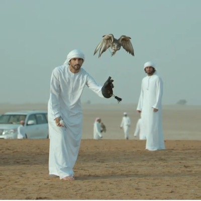 M8Rashd's profile picture. 